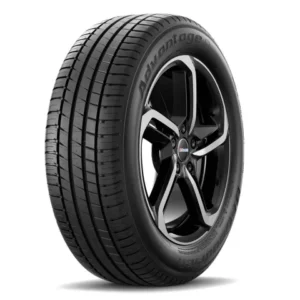 255/40R19 100Y BFGoodrich Advantage XL